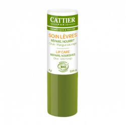 Cattier Balsam de buze Bio reparator si hranitor cu unt de mango, 4 g, Cattier