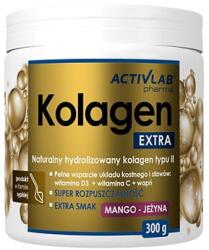 ACTIVLAB KOLAGEN EXTRA (300 GR) STRAWBERRY RASPBERRY 300 gr