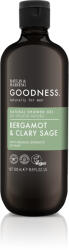 Baylis & Harding Goodness Gel de duș pentru bărbați Bergamot & Clary Sage
