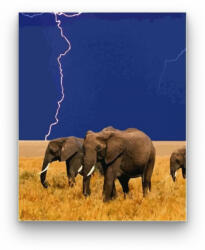 Számfestő Elefántok a mezőn - számfestő készlet (crea291)
