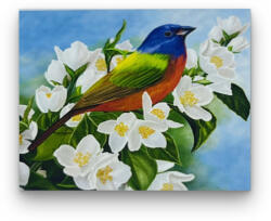 Számfestő Színes madárka virágon - előszínezett számfestő készlet (30x40cm) (R43115-128-1)