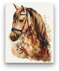  Csodálatos Ló - számfestő készlet