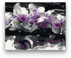 Számfestő Lila Orchidea - számfestő készlet (ujszam089)
