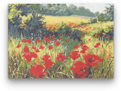  Pipacsok a Réten - számfestő készlet