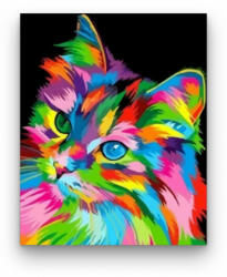 Számfestő Legszínesebb cica - számfestő készlet (crea280)