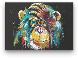  Színes Majom - számfestő készlet