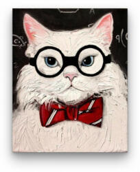  A Szemüveges Macska - számfestő készlet