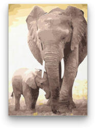 Számfestő Elefántok - számfestő készlet (6323)