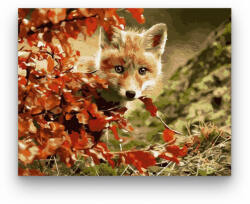  Róka kölyök - számfestő készlet