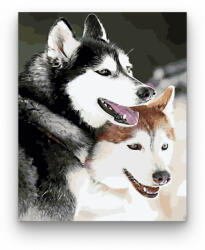  Huskyk - számfestő készlet