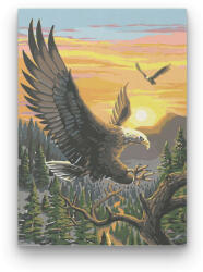  Sasok - számfestő készlet