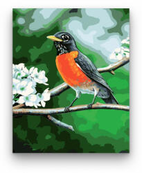  Madárka - számfestő készlet