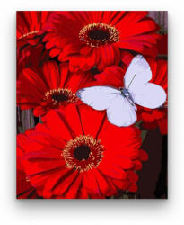 Számfestő Pillangó piros virágokon - számfestő készlet (crea260)