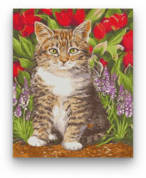 Számfestő Tarka cica - számfestő készlet (crea402)
