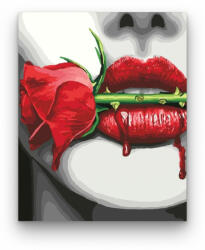 Számfestő Vérző szerelem - számfestő készlet (crea086)