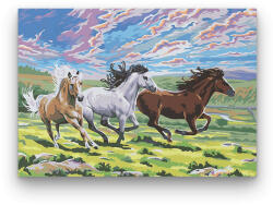  Vágtató Lovak - számfestő készlet