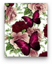  Rózsa És Pillangó - számfestő készlet