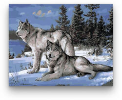 Számfestő Szürke farkasok - számfestő készlet (crea266)