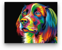  Gyönyörű Kutya - számfestő készlet