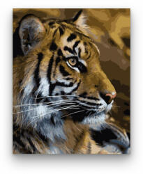 Számfestő Tigris - számfestő készlet (crea154)