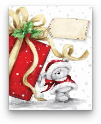  Macis ajándék - számfestő készlet