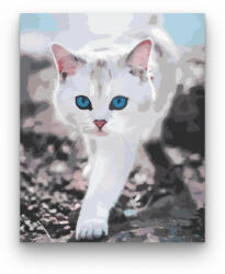 Számfestő Fehér cica - számfestő készlet (crea246)