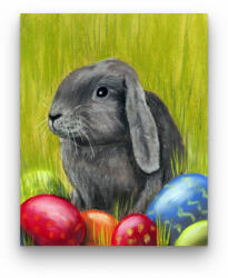 Számfestő Szürke Nyuszi - húsvéti számfestő készlet
