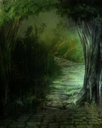 Számfestő Titkos erdő - vászonkép (vaszszur015)