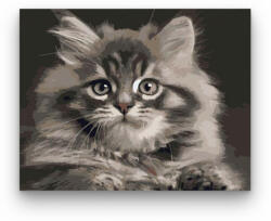  Szürka cica - számfestő készlet