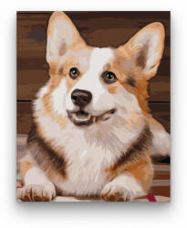  Fekvő kutya - számfestő készlet