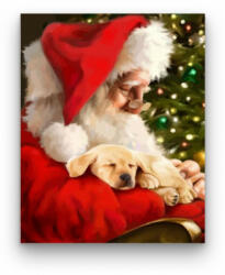  Télapó kiskutyával - számfestő készlet