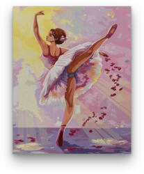 Számfestő Elegáns balerina - előszínezett számfestő készlet (50x65cm) (R43115-139-3)