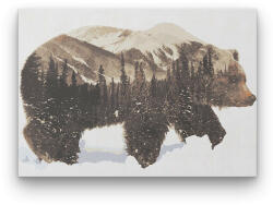Számfestő Csodálatos Medve - számfestő készlet (jy292)