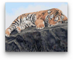 Számfestő Pihenő tigris 2 - számfestő készlet (crea076)