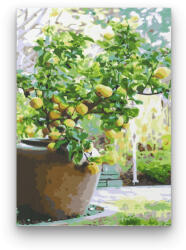  Citromfa - számfestő készlet