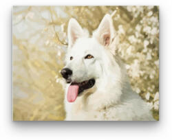 Számfestő Hófehér kutya - számfestő készlet (crea305)