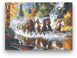  Lovak - számfestő készlet