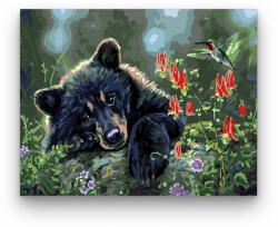 Számfestő Bájos medve - számfestő készlet (crea167)