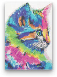  Színes Cica - számfestő készlet