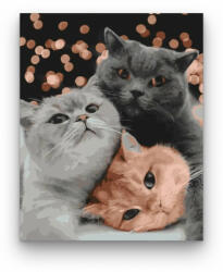  Hárman - számfestő készlet