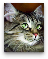  Zöld szemű cica - számfestő készlet