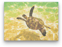  Teknős - számfestő készlet