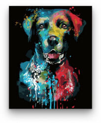  Kutyus a színekből - számfestő készlet