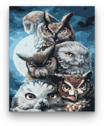  Bagoly banda - számfestő készlet