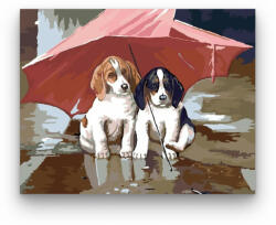  Kutyus menedék - számfestő készlet