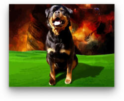 Számfestő Rottweiler - számfestő készlet (crea206)