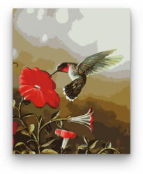 Számfestő Kolibri - számfestő készlet (crea120)
