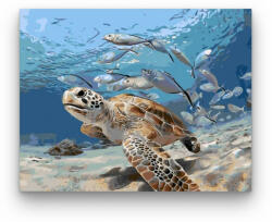  Teknős a víz alatt - számfestő készlet