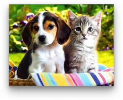  Cica-kutyus barátság - számfestő készlet