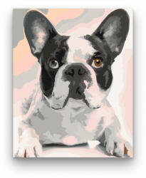  Fekete Fehér Bulldog - számfestő készlet
